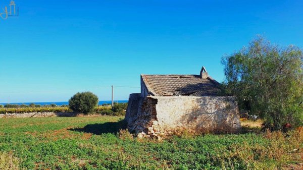casa indipendente in vendita a Polignano a Mare