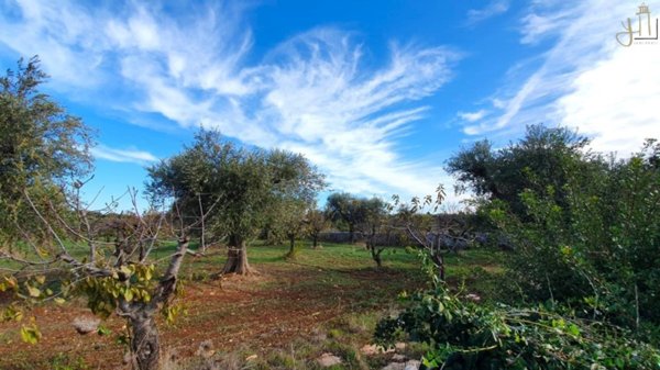 terreno agricolo in vendita a Polignano a Mare in zona Chiesa Nuova