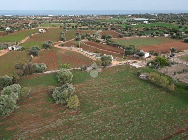 terreno agricolo in vendita a Polignano a Mare