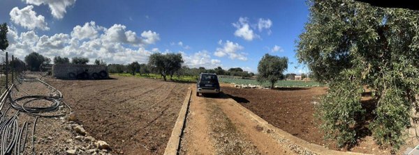 terreno agricolo in vendita a Polignano a Mare