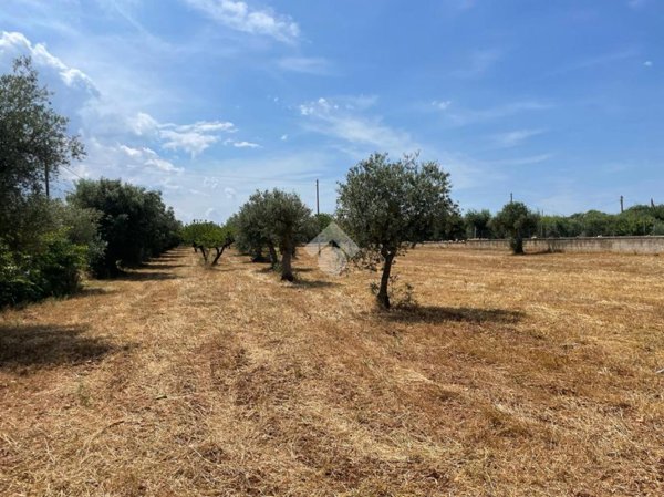 terreno agricolo in vendita a Polignano a Mare in zona Chiesa Nuova