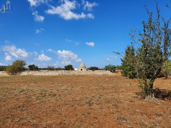 terreno agricolo in vendita a Polignano a Mare