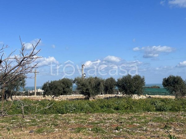 terreno agricolo in vendita a Polignano a Mare