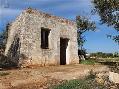 capannone in vendita a Polignano a Mare