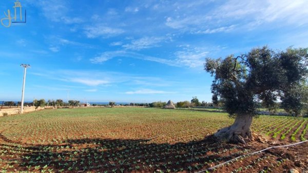 terreno agricolo in vendita a Polignano a Mare