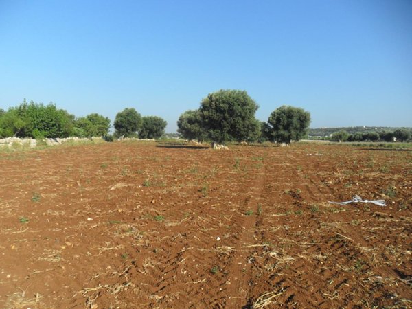 terreno agricolo in vendita a Polignano a Mare