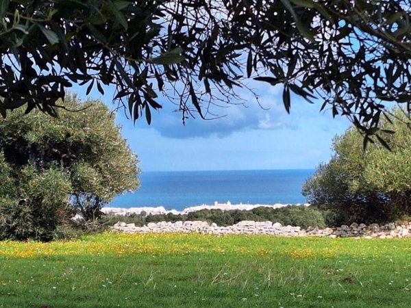 terreno agricolo in vendita a Polignano a Mare