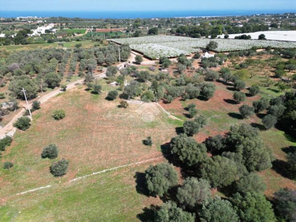 terreno agricolo in vendita a Polignano a Mare