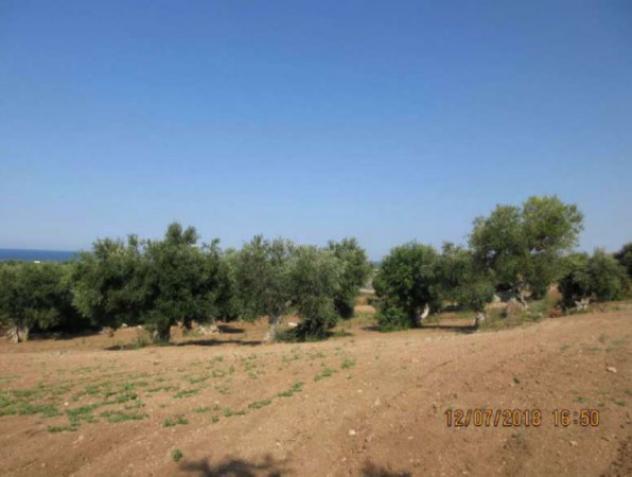 terreno agricolo in vendita a Polignano a Mare