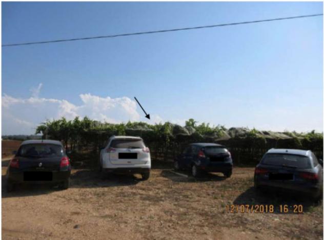 terreno agricolo in vendita a Polignano a Mare