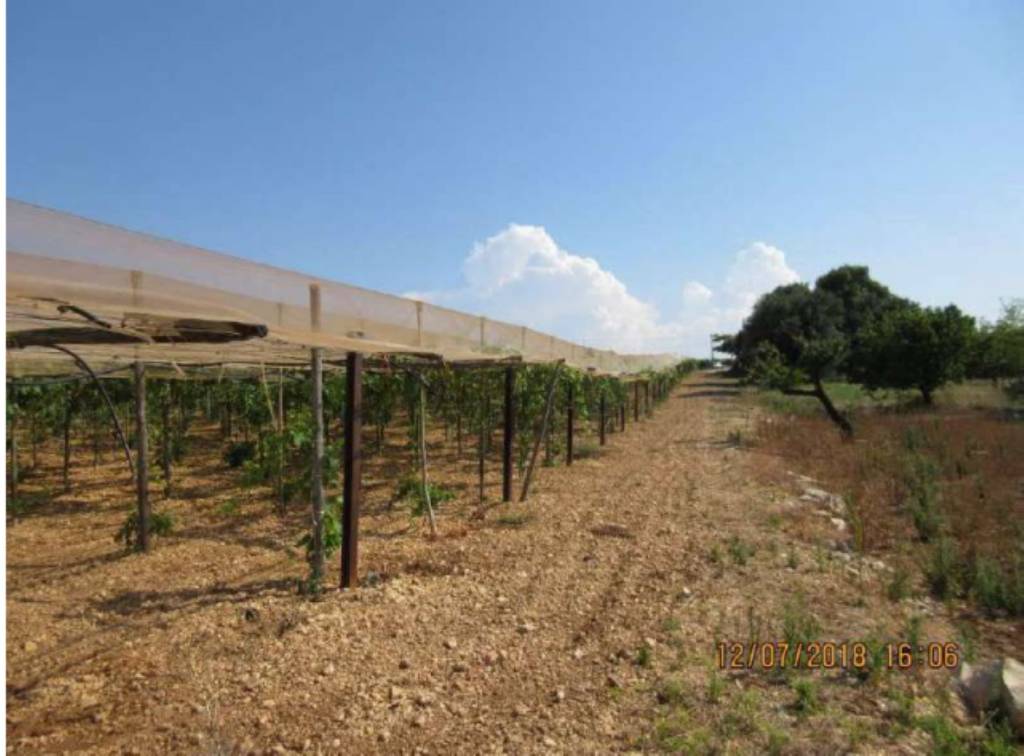 terreno agricolo in vendita a Polignano a Mare