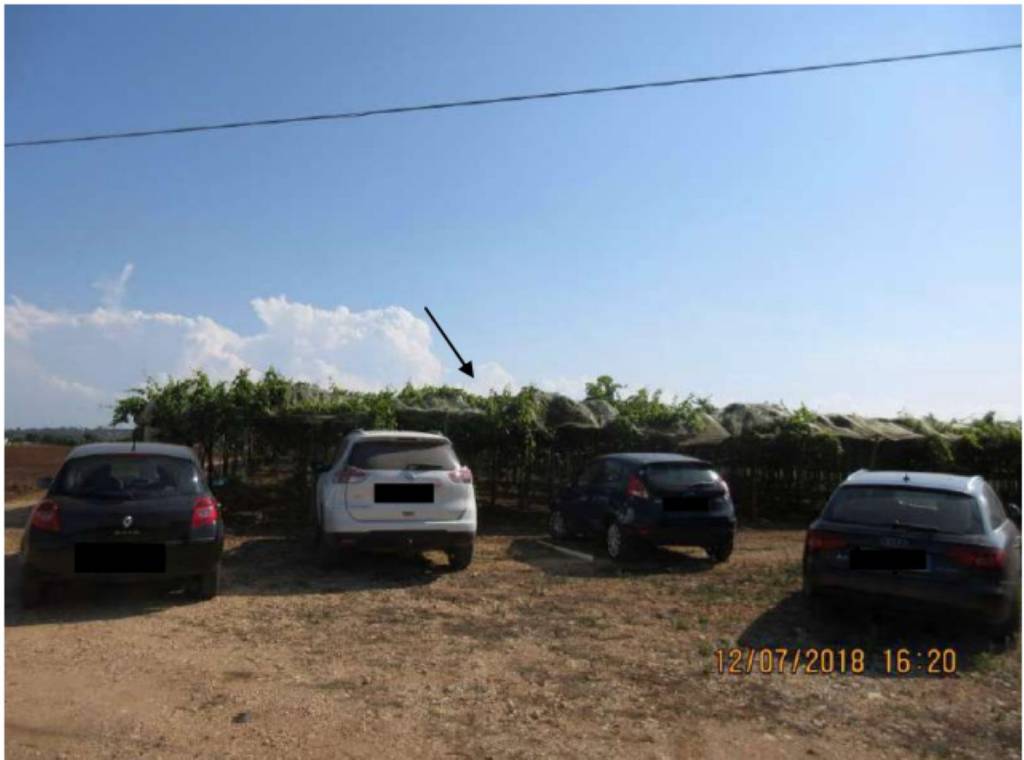 terreno agricolo in vendita a Polignano a Mare