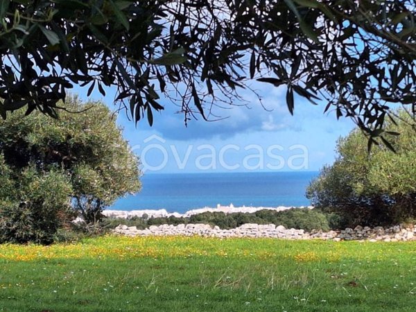 casa indipendente in vendita a Polignano a Mare