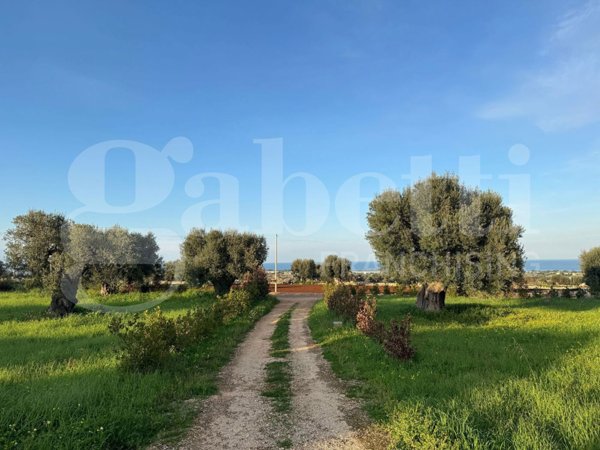 casa indipendente in vendita a Polignano a Mare