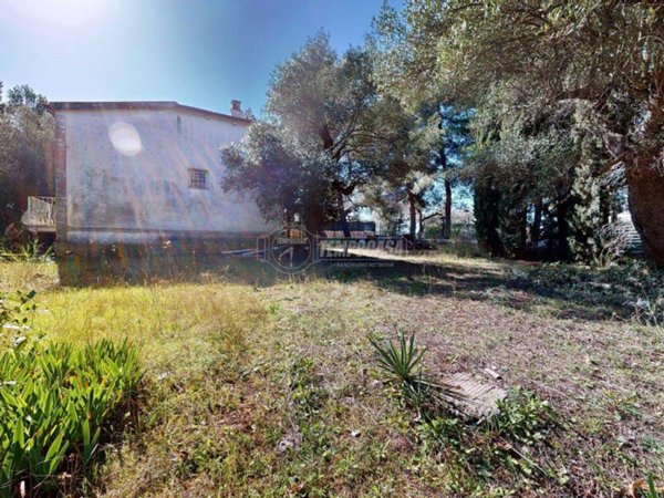 casa indipendente in vendita a Polignano a Mare in zona Triggianello