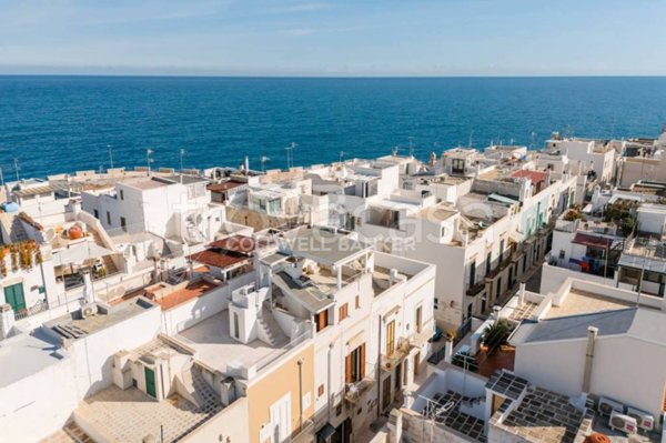 casa indipendente in vendita a Polignano a Mare