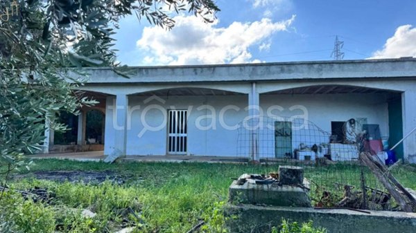 casa indipendente in vendita a Polignano a Mare