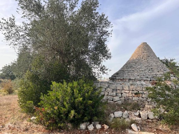 casa indipendente in vendita a Polignano a Mare