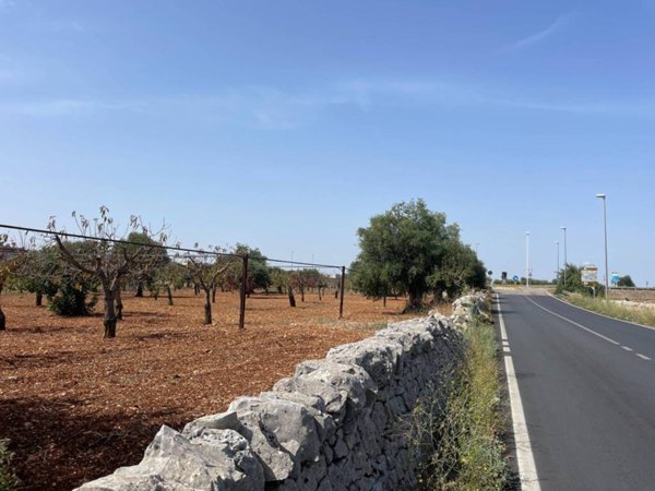 terreno agricolo in vendita a Polignano a Mare in zona Triggianello