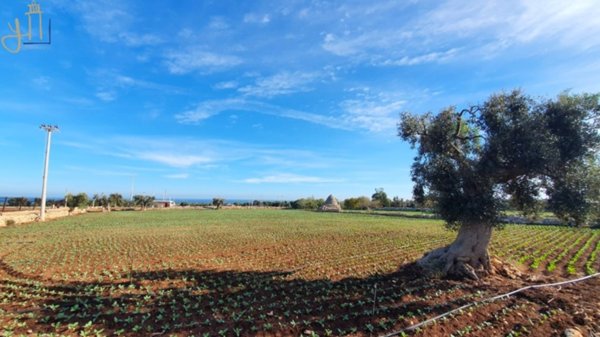 terreno agricolo in vendita a Polignano a Mare in zona Cavuzzi