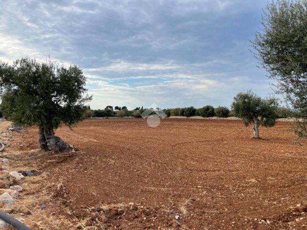 terreno agricolo in vendita a Polignano a Mare in zona Cavuzzi