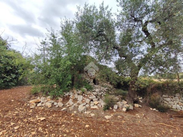 terreno agricolo in vendita a Polignano a Mare