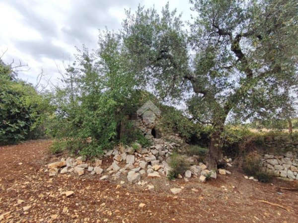 terreno agricolo in vendita a Polignano a Mare