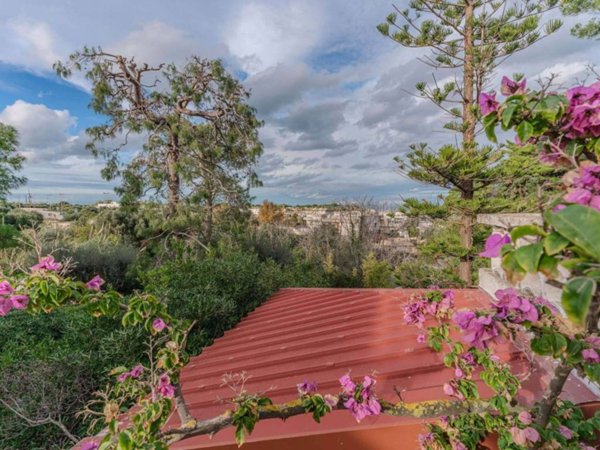 casa indipendente in vendita a Polignano a Mare