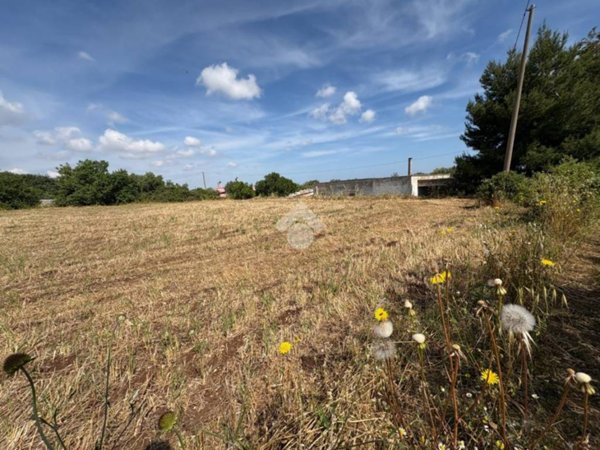 terreno agricolo in vendita a Polignano a Mare