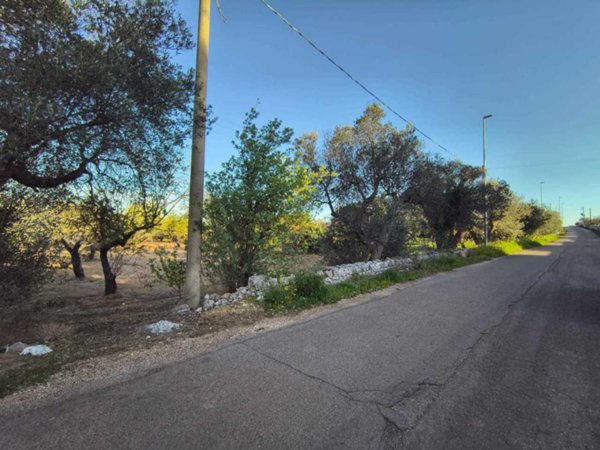 terreno agricolo in vendita a Polignano a Mare in zona Chiesa Nuova