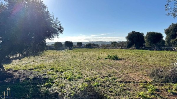 terreno agricolo in vendita a Polignano a Mare