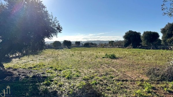 terreno agricolo in vendita a Polignano a Mare