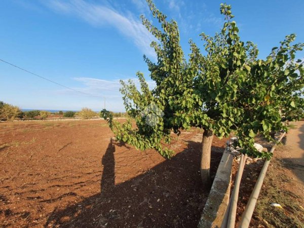 terreno agricolo in vendita a Polignano a Mare
