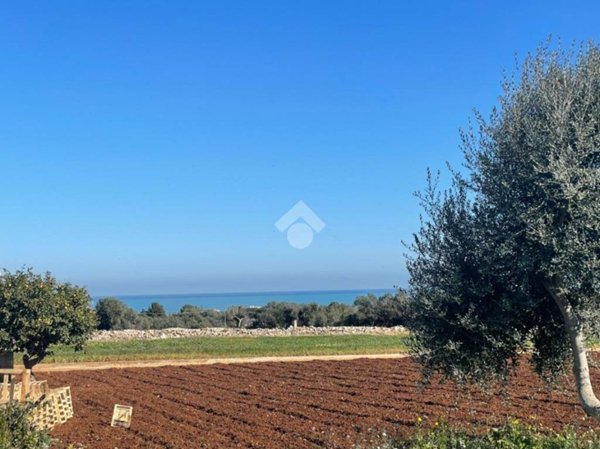 terreno agricolo in vendita a Polignano a Mare