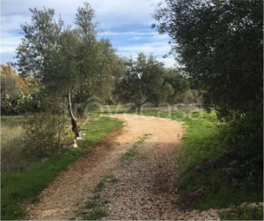 terreno agricolo in vendita a Polignano a Mare