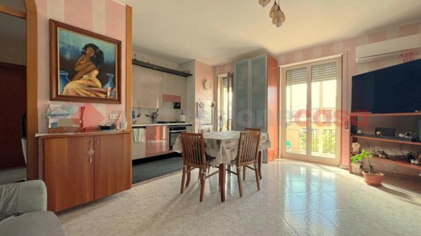 immagine annuncio 0 di 15