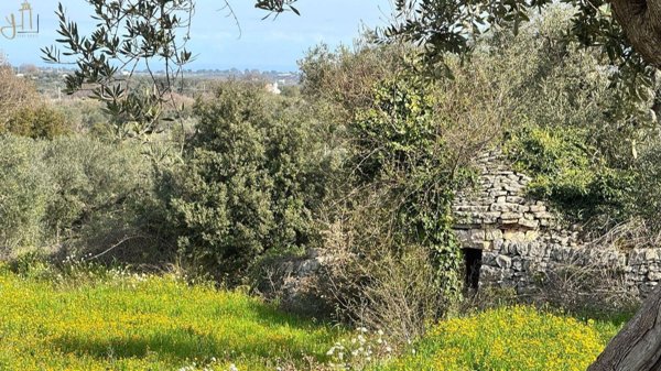 appartamento in vendita a Polignano a Mare