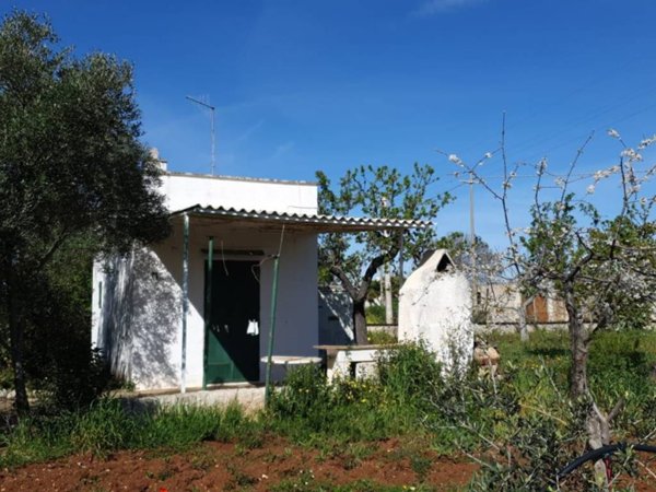 casa indipendente in vendita a Polignano a Mare