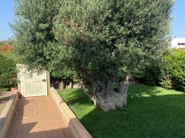 casa indipendente in vendita a Polignano a Mare
