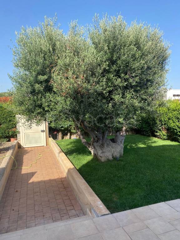 casa indipendente in vendita a Polignano a Mare