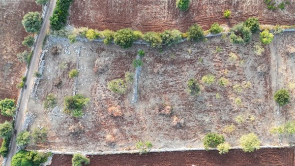 terreno agricolo in vendita a Polignano a Mare