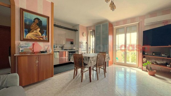 immagine annuncio 0 di 15