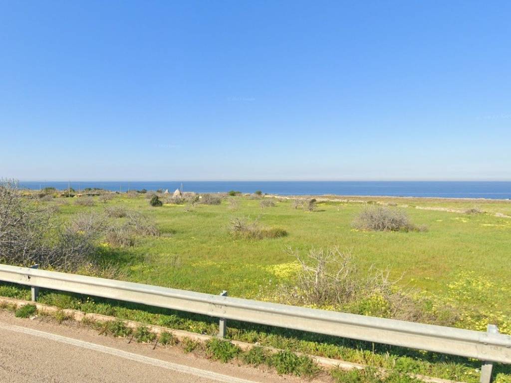 terreno agricolo in vendita a Polignano a Mare