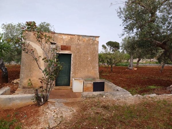 casa indipendente in vendita a Polignano a Mare