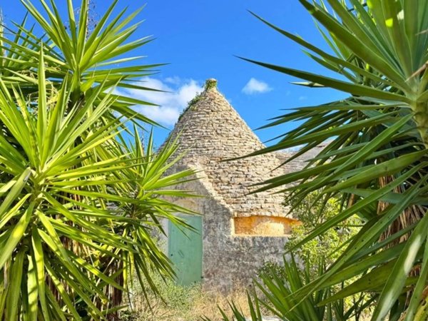 casa indipendente in vendita a Polignano a Mare in zona Triggianello