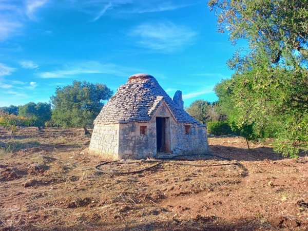 casa indipendente in vendita a Polignano a Mare