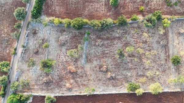 negozio in vendita a Polignano a Mare