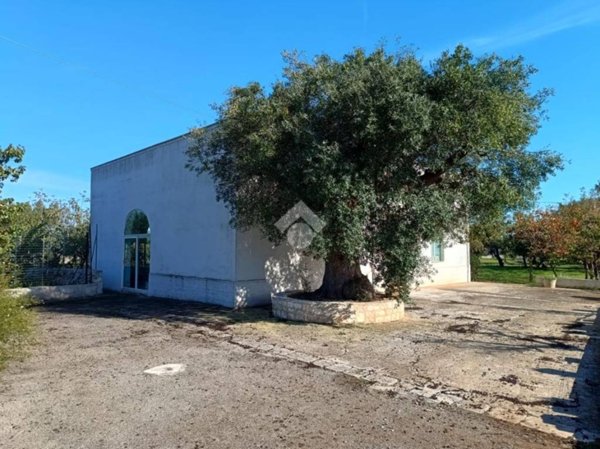 casa indipendente in vendita a Polignano a Mare