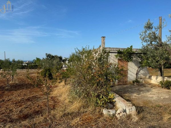 casa indipendente in vendita a Polignano a Mare