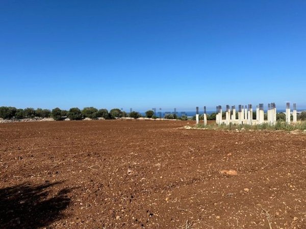 casa indipendente in vendita a Polignano a Mare